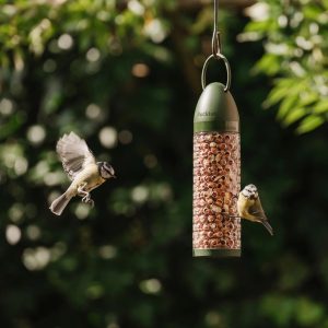 Peckish Peanut Easy Feeder – 300g