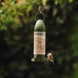 Peckish Extra Goodness Crumble Ready to Use Feeder