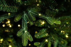 Bosk Montpellier Fir – 7ft – Pre Lit – 600 Warm White LEDs